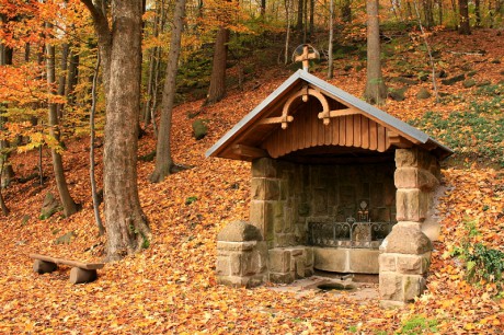  6 Studánka pod Jánským vrchem v Petříkovicích