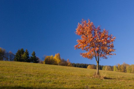 32 Sklenářovice - podzim