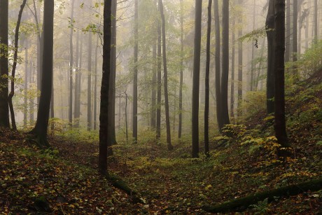 25 Sklenářovické údolí - Bartův les