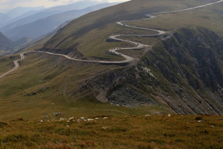 33 Transalpina