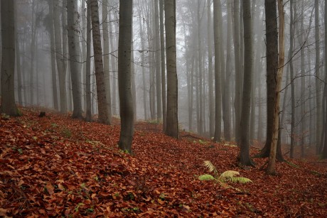 38 Sklenářovické údolí - Bartův les