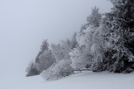 03. Albeřické stráně