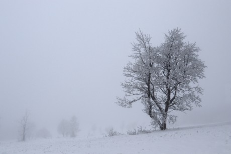 04. Albeřické stráně