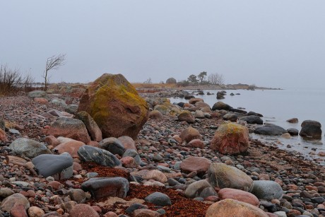 57 Mys Purekkari (Estonsko)