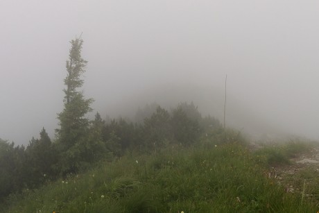 06 Mlha na hřebenu