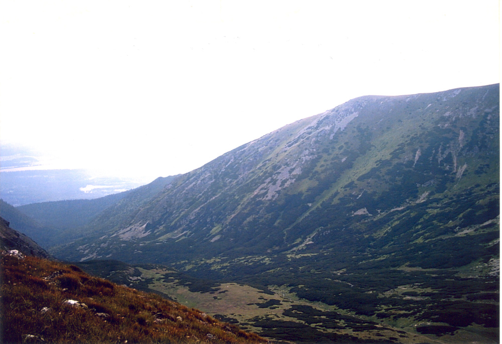 6-Bystrá dolina, Ježová