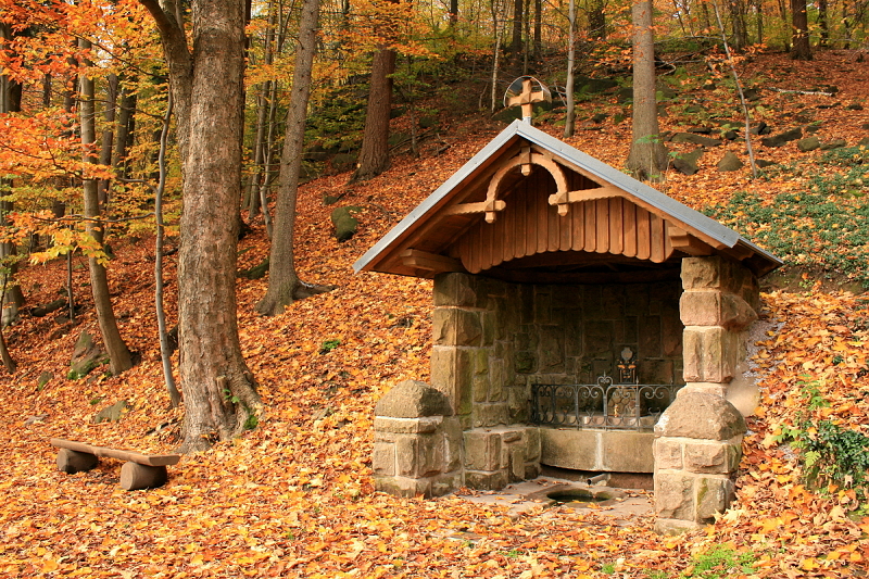  6 Studánka pod Jánským vrchem v Petříkovicích