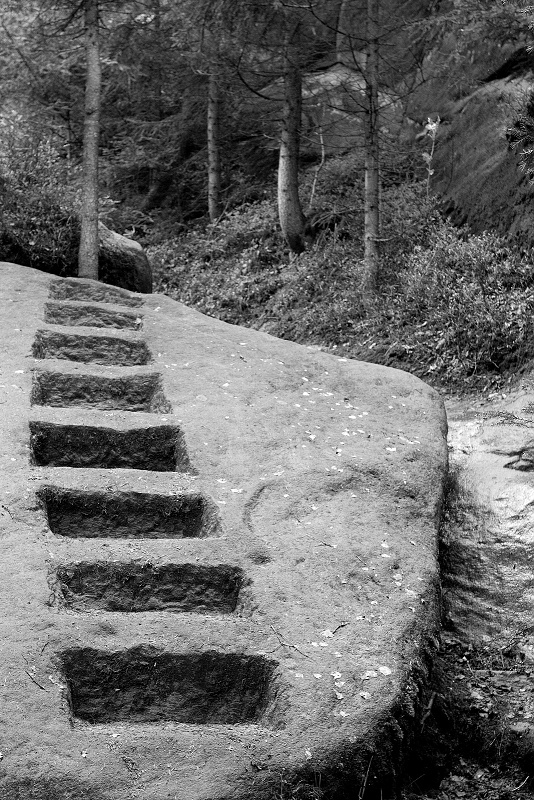03 Dokonalé schody kdesi uprostřed lesů