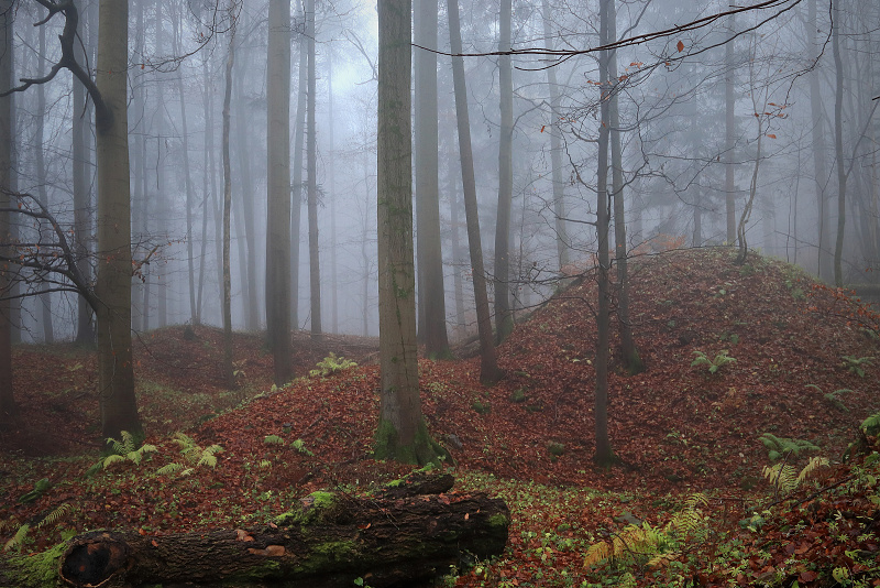 33 Sklenářovické údolí - Bartův les