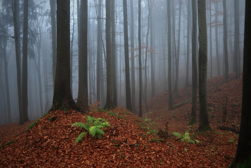 35 Sklenářovické údolí - Bartův les
