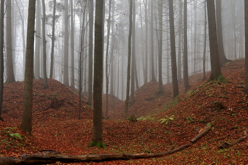 37 Sklenářovické údolí - Bartův les