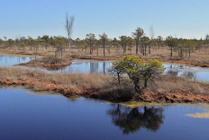 48 NP Kemeri (Lotyšsko)
