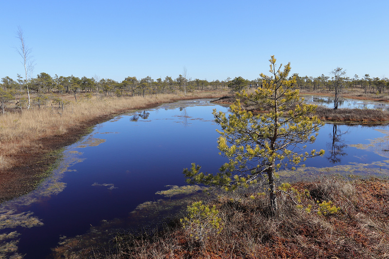 49 NP Kemeri (Lotyšsko)
