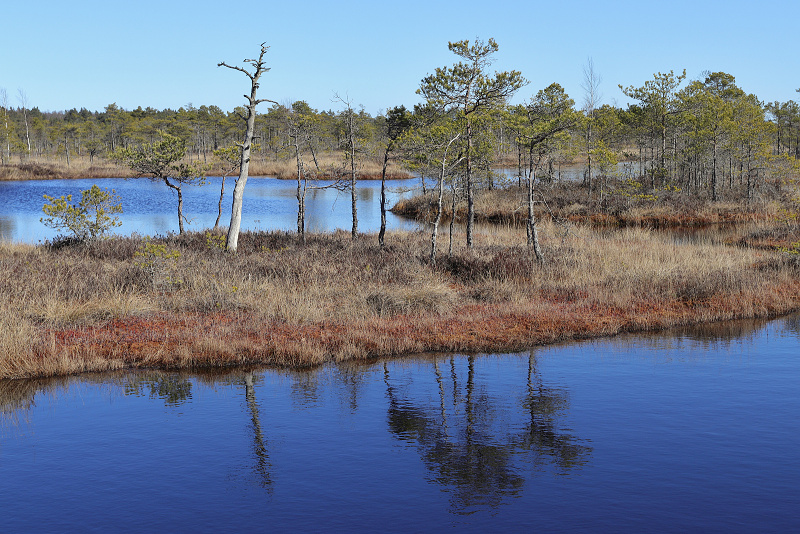 50 NP Kemeri (Lotyšsko)