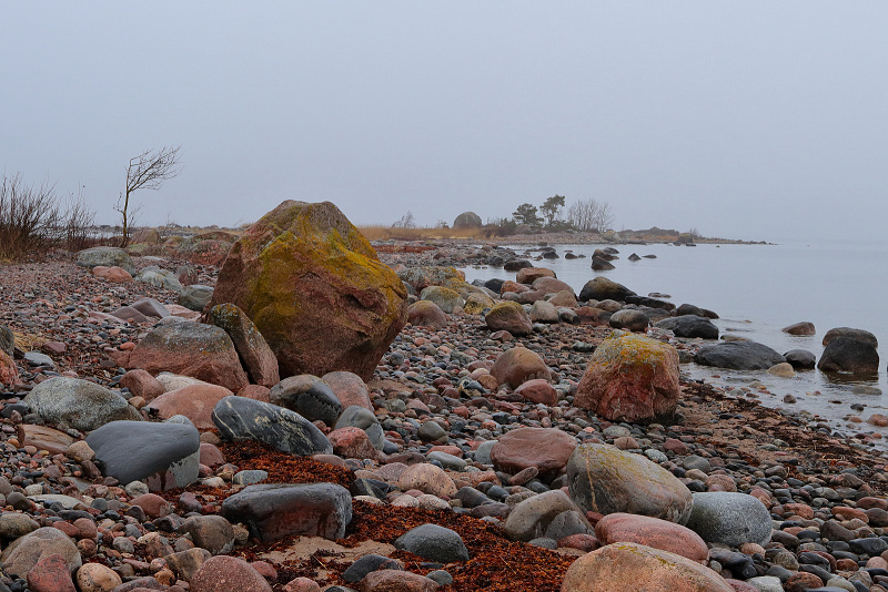 57 Mys Purekkari (Estonsko)