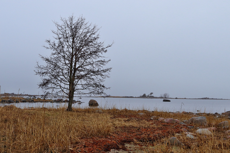 59 Mys Purekkari (Estonsko)