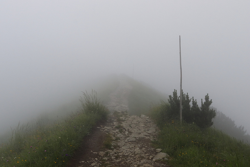 08 Mlha na hřebenu