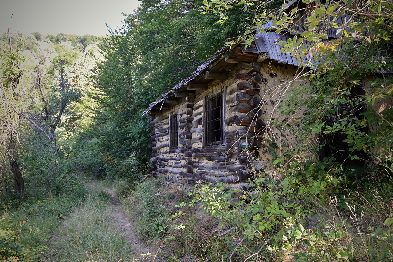 71 Eibenthal
