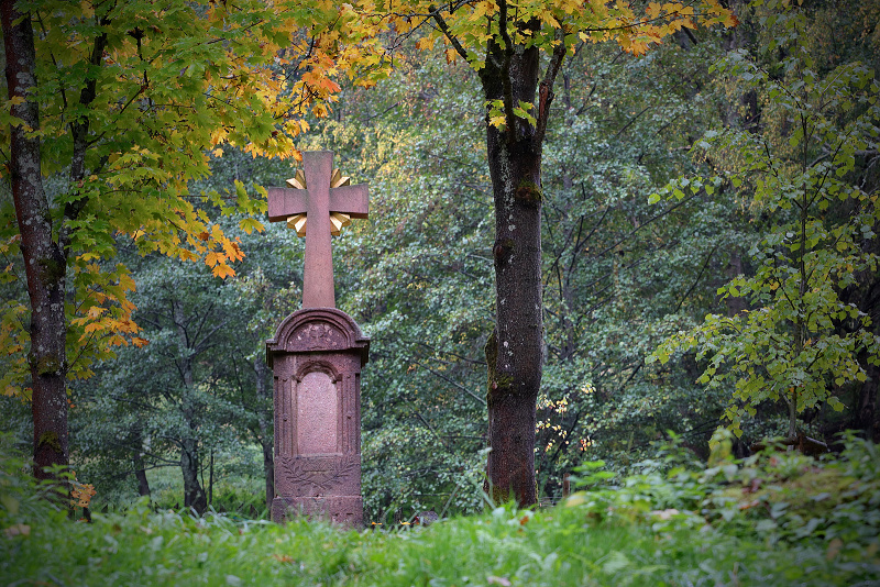 54 Debrné